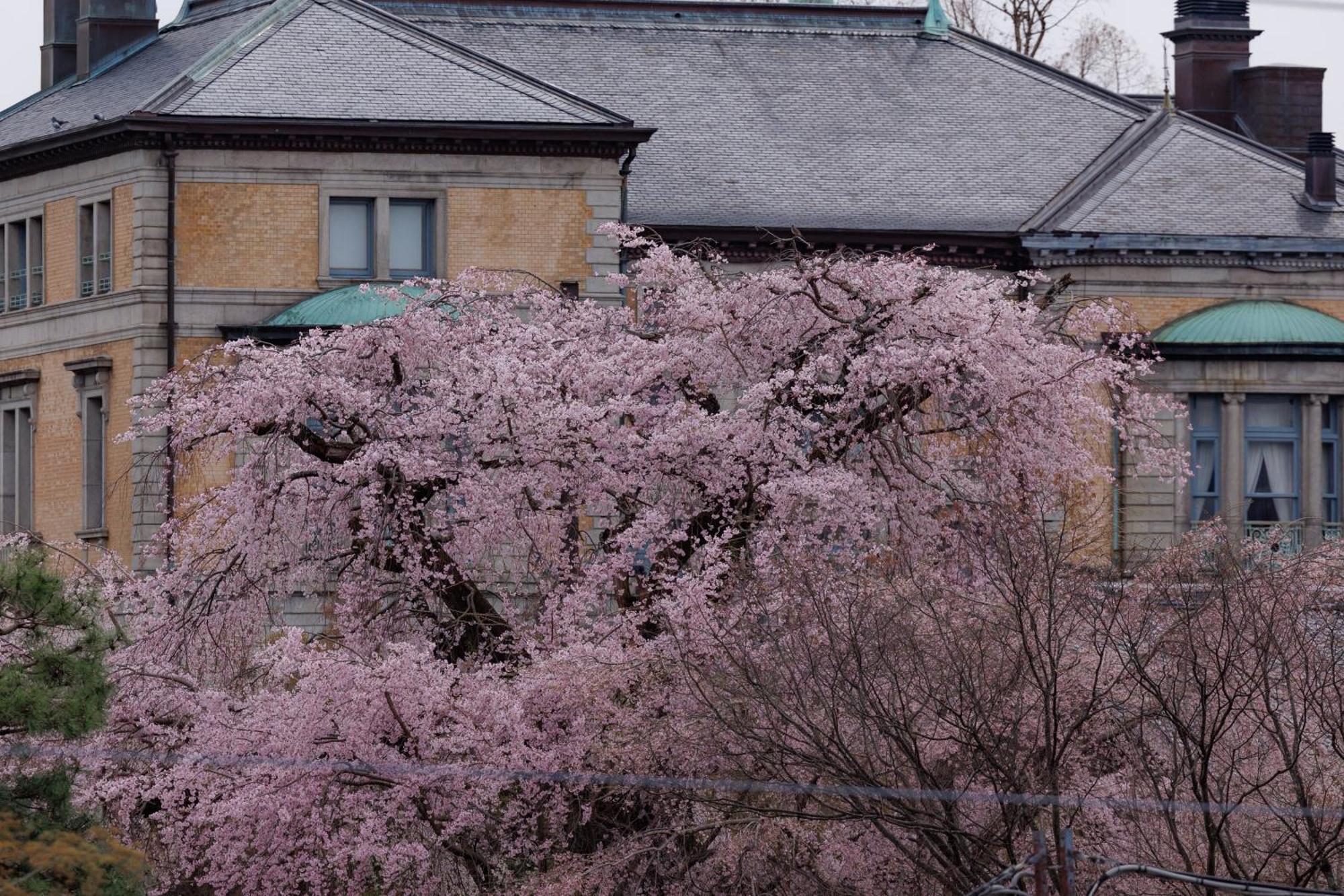 Hotel Chorakukan Kyoto Bagian luar foto